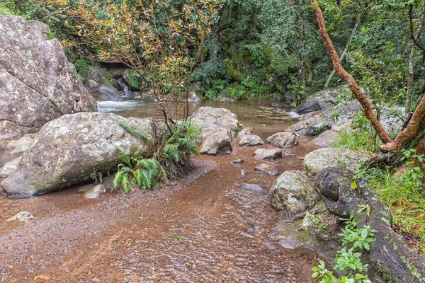 Gudu River Pools Gudu Forest Heavy Rain Hiking Trail Flooded — Stock Photo, Image