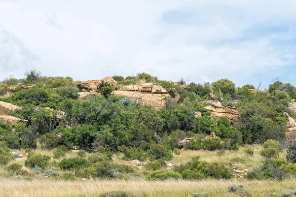 Een Stalen Ladder Eland Hiking Trail Bij Eingedi Bij Ladybrand — Stockfoto