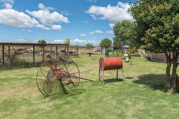 Fouriesburg South Africa March 2020 Old Harrow Cattle Caricature Jenlees — 图库照片