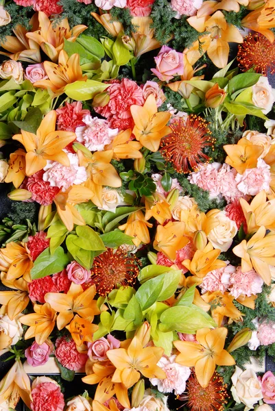 Güzel çiçek arka plan çeşitli renkli — Stok fotoğraf