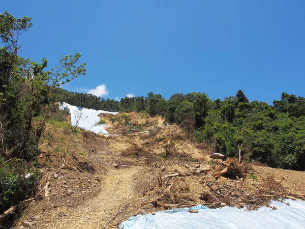 Mudflows and landslides — Stock Photo, Image