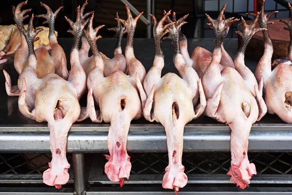 Taiwan mercado tradicional, galinheiro — Fotografia de Stock