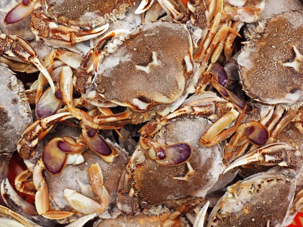 Färska krabbor på is — Stockfoto