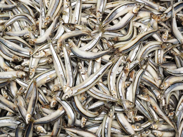 Boiled silver anchovy — Stock Photo, Image