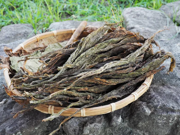 Hoja seca de tabaco — Foto de Stock