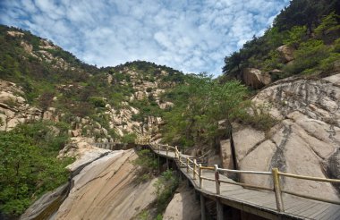 Ahşap geçit / ahşap yolu 