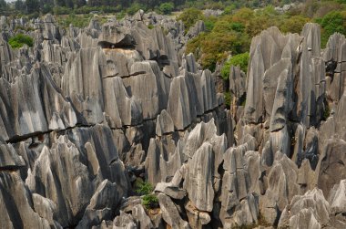  Stone forest national park clipart