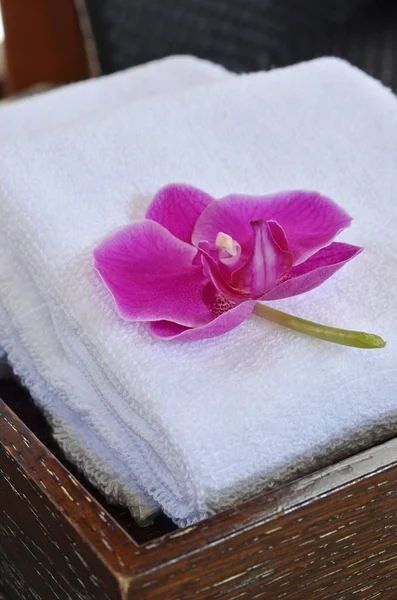 Flor de orquídea com toalha — Fotografia de Stock