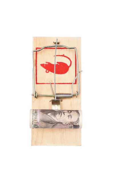 Money in a mousetrap — Stock Photo, Image