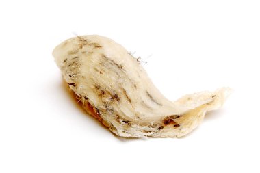 yenilebilir kuş yuvası  