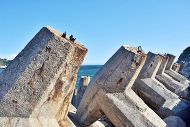 Waterfront dalgalar koruma için dalgakıran sokak.