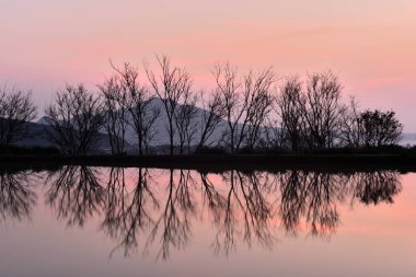 Güzel sahne günbatımı gökyüzü görünümü göl ve ağaçlar yansıma su, Tianxinzi, Sanzhi, New Taipei City, Tayvan  