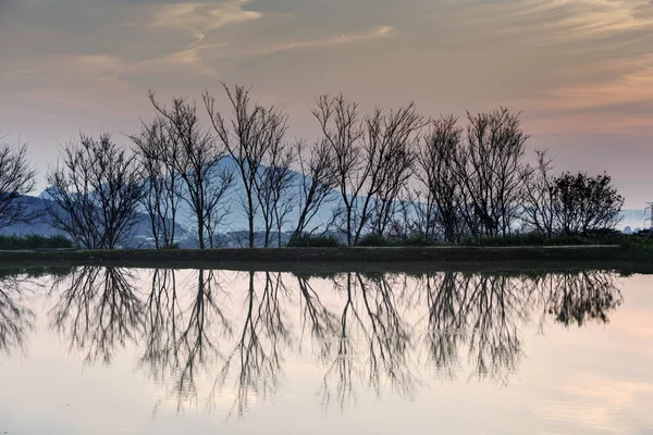 Bela Paisagem Céu Pôr Sol Vista Lago Árvores Reflexão Água — Fotografia de Stock