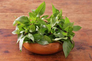 Tahta kasede Tayland fesleğeni