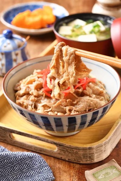 Gyudon Una Ciotola Riso Con Carne Manzo Affettata Cipolla Salsa — Foto Stock