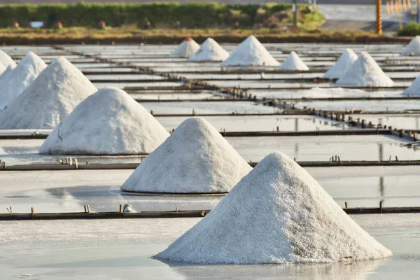 Dried Salt Salt Pan Ready Harvesting Tainan Taiwan Salt Pans — Stock Photo, Image