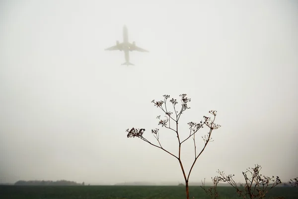 Avião em névoa espessa — Fotografia de Stock