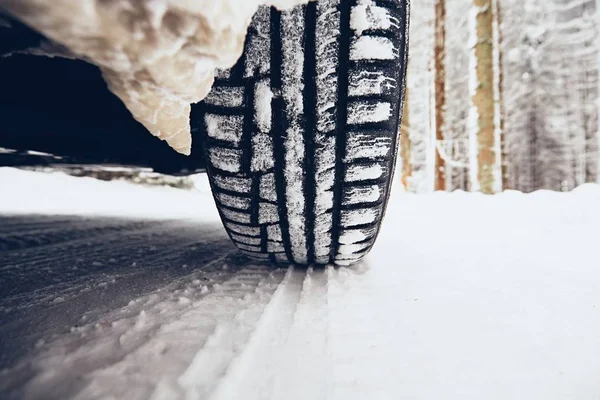 Winter on the road — Stock Photo, Image