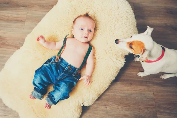Malý kluk a pes doma — Stock fotografie
