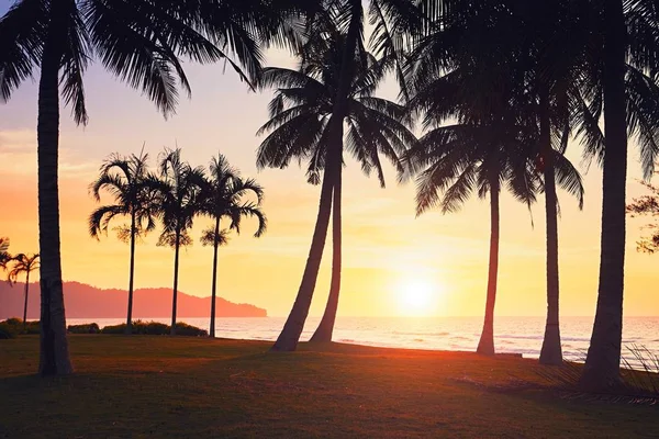 Increíble puesta de sol en la playa — Foto de Stock