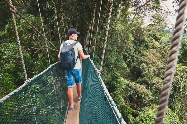 Canopy paseo en la selva tropical — Foto de Stock