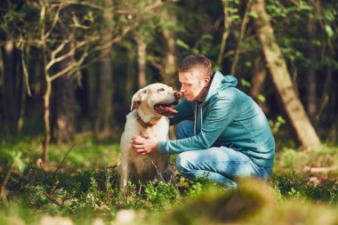 Orman köpek ile güneşli gün
