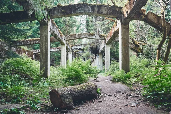 Velha fábrica abandonada — Fotografia de Stock