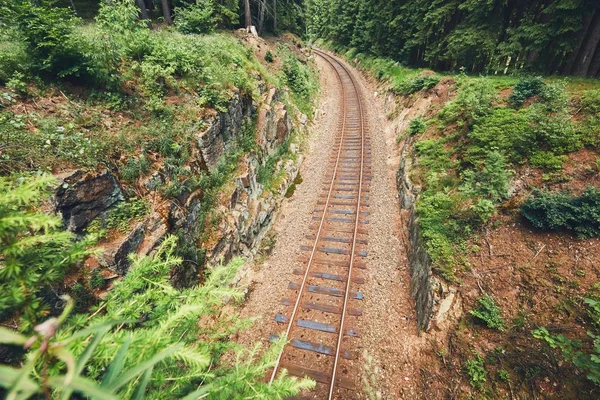 Via férrea no meio da floresta — Fotografia de Stock