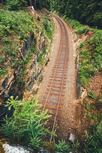 Järnvägsspår mitt i skogen — Stockfoto