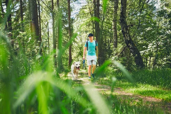 Tourist with dog in forest — Stock Photo, Image