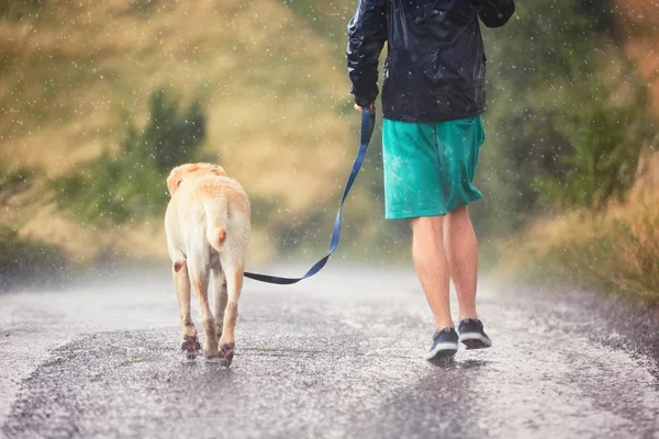 Uomo con cane sotto una forte pioggia — Foto Stock