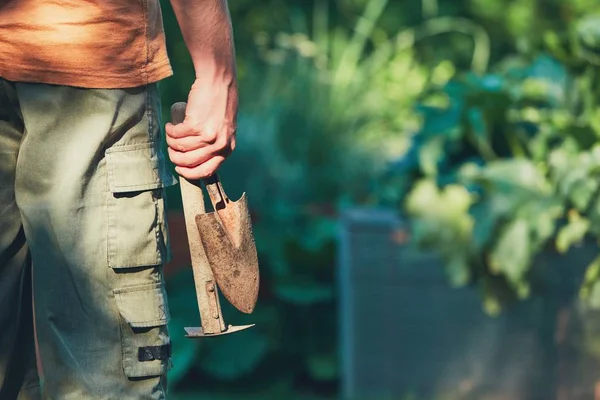 Travaux sur le potager — Photo