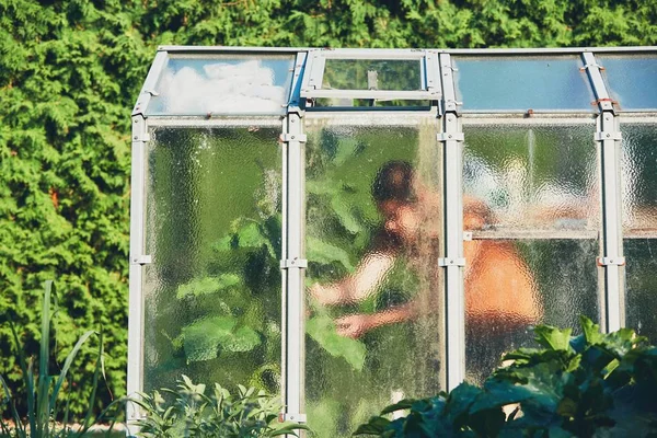 Work on the vegetable garden — Stock Photo, Image