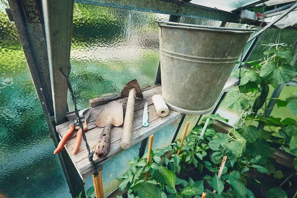 Outils de jardinage dans la serre — Photo