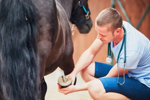 Veterinary medicine at the farm — Stock Photo, Image