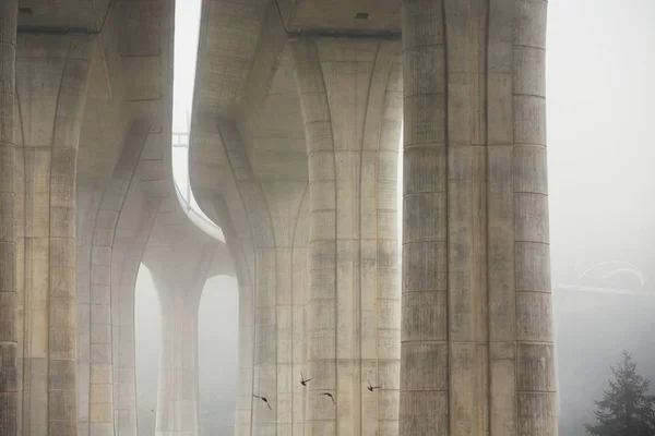 Pilares del puente de carretera en la niebla —  Fotos de Stock