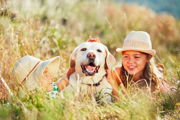 The two girls hug the dog — Stock Photo, Image