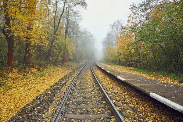 Stazione ferroviaria rurale nella nebbia — Foto Stock