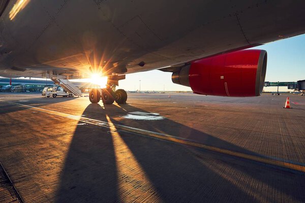 Landing gear of the airplane