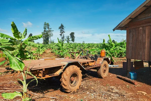 香蕉种植园的卡车 — 图库照片
