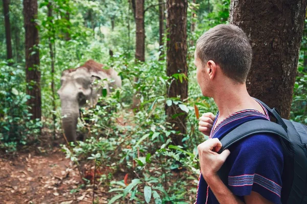 Traveler with elephant — Stock Photo, Image