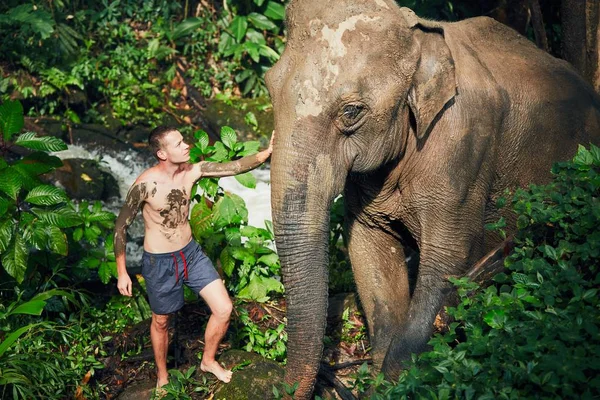Traveler with elephant — Stock Photo, Image
