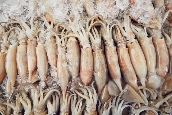Calamares en el mercado callejero — Foto de Stock