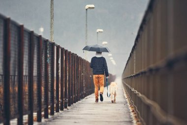 Köpek ile insan yağmurda yürüme