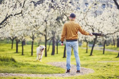 Adam köpek bahar parkı ile
