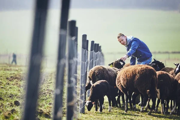 Sunny morning on the rural farm — Stock Photo, Image