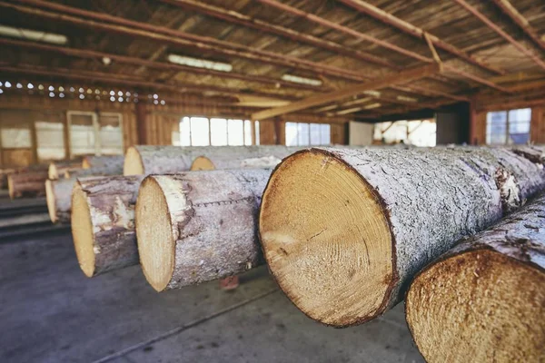 Holz im Sägewerk — Stockfoto