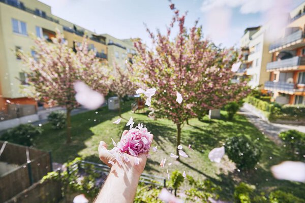 Windy spring day — Stock Photo, Image