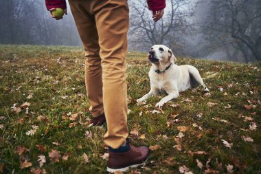 Adam köpek sonbahar doğa ile