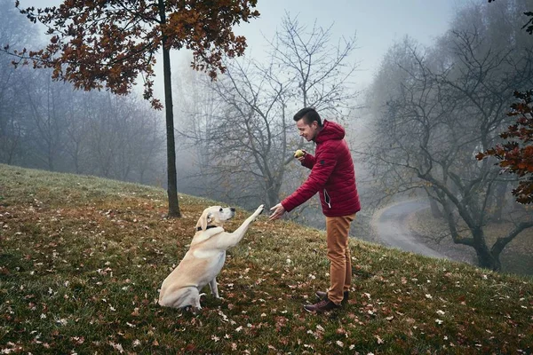 Uomo con cane nella natura autunnale — Foto Stock
